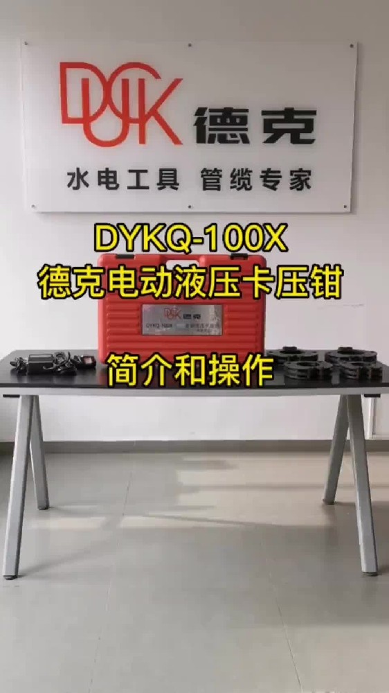 DYKQ-100X-ҕl