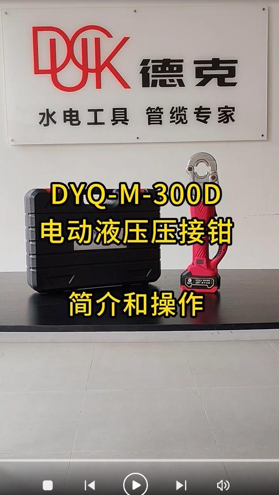 DYQ-M-300D ҕl