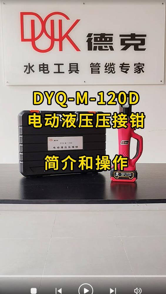 DYQ-M-120D ҕl