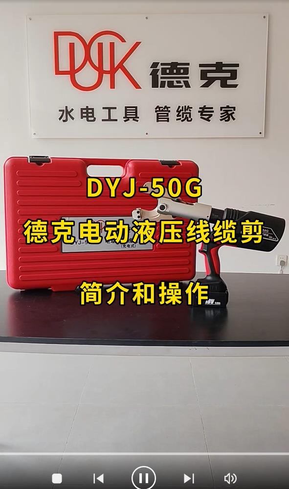 DYJ-50G ҕl